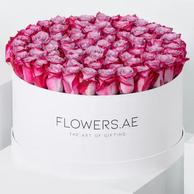 XXL Purple Roses Hatbox