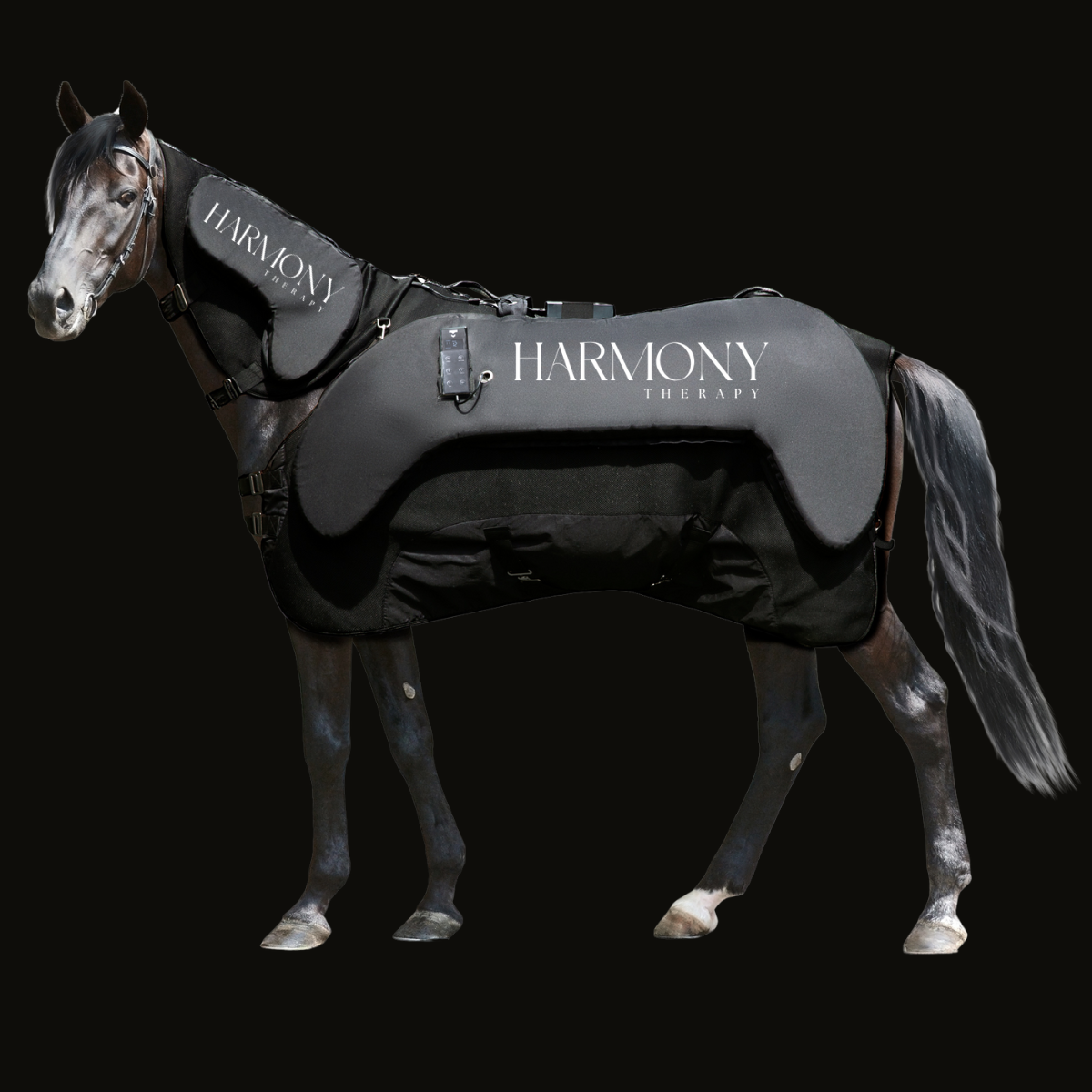 HARMONY THERAPY Couverture