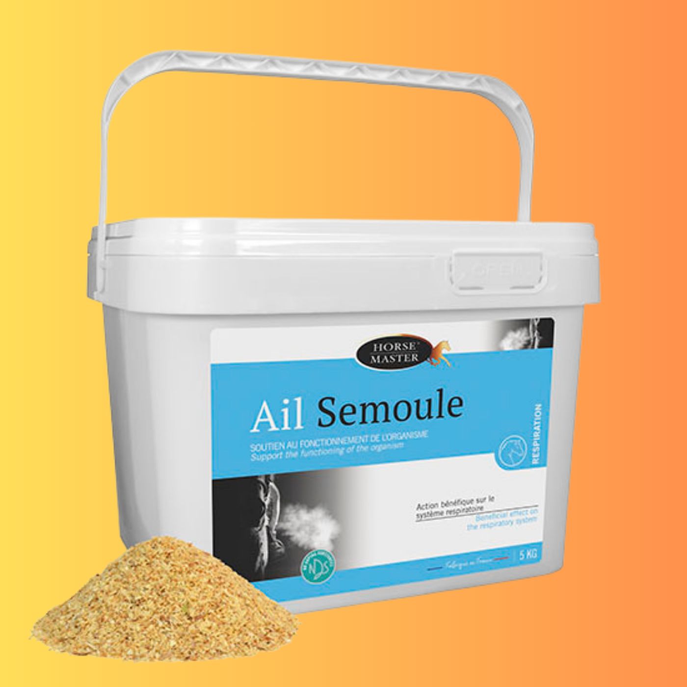 AIL SEMOULE Soutien de l&#39;organisme