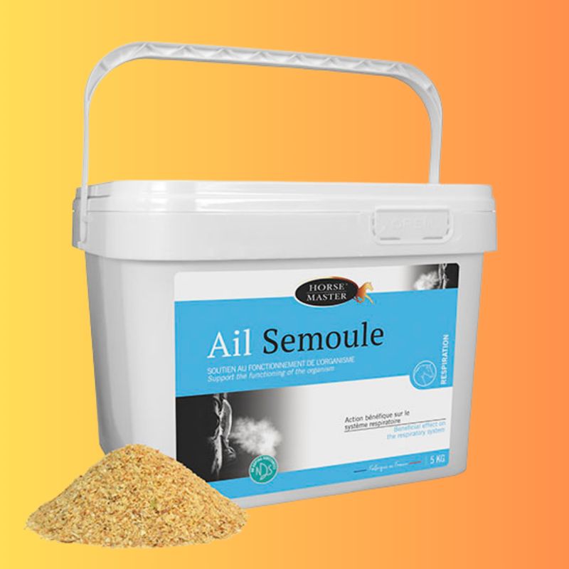 AIL SEMOULE Soutien de l&#39;organisme