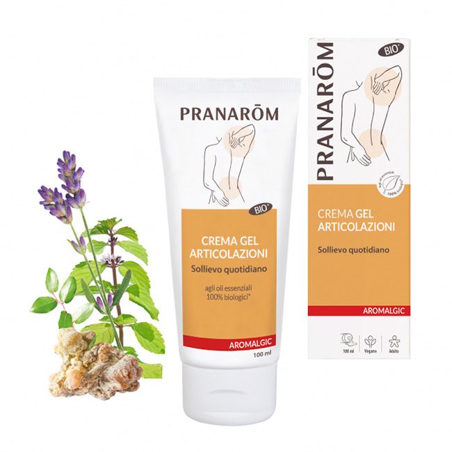 PRANAROM ALGIC CREMA ART 100ML