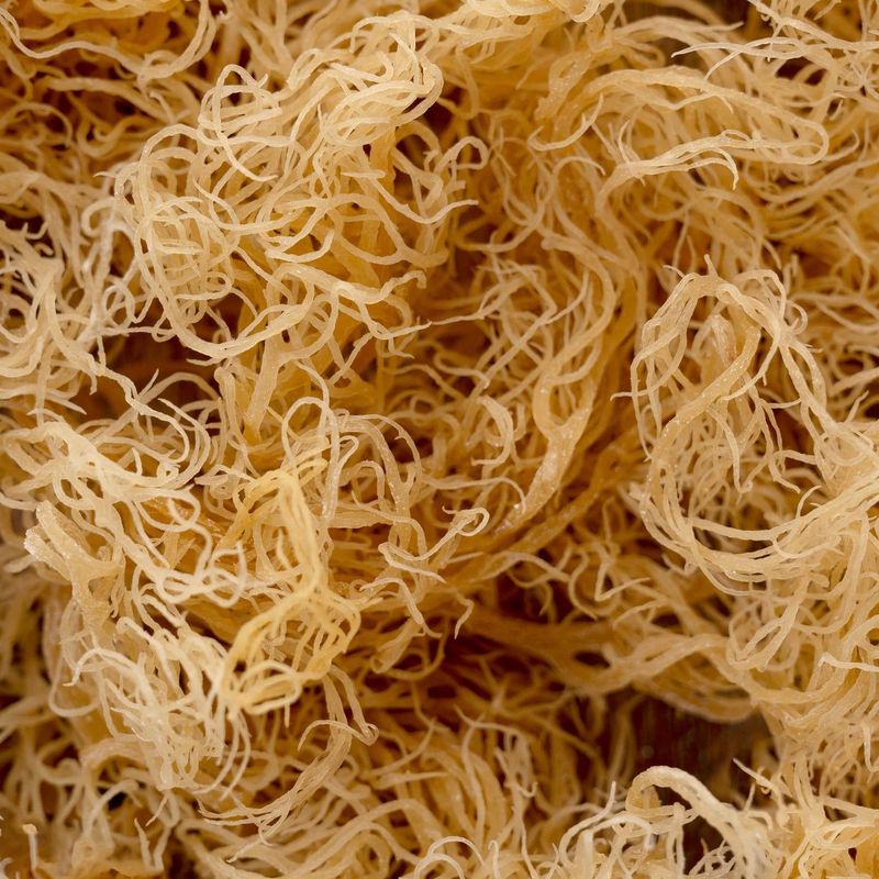 Dried Sea Moss 50g