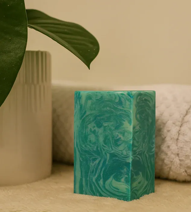 Barre De Savon Foret Givree