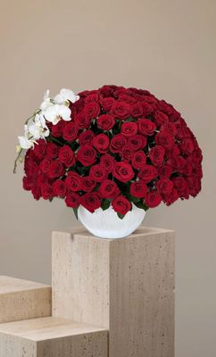 Red roses in premium vase with white orchid – Sang de Rubis – Je T’aime Fleurs Miami &amp; Naples
