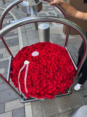 500 red roses in luxury basket with greeting card – Je T’aime Fleurs Miami &amp; Naples

