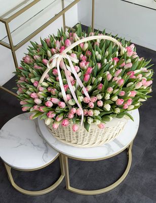 300 fresh tulips in luxury basket – premium tulip delivery Miami / Naples
