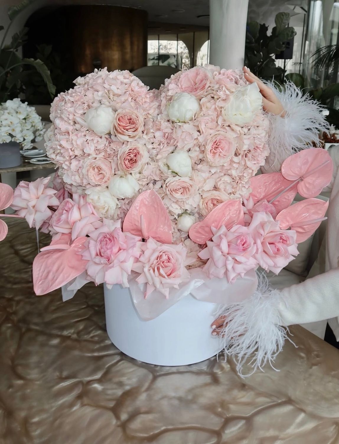 Women’s Heart Women’s Heart