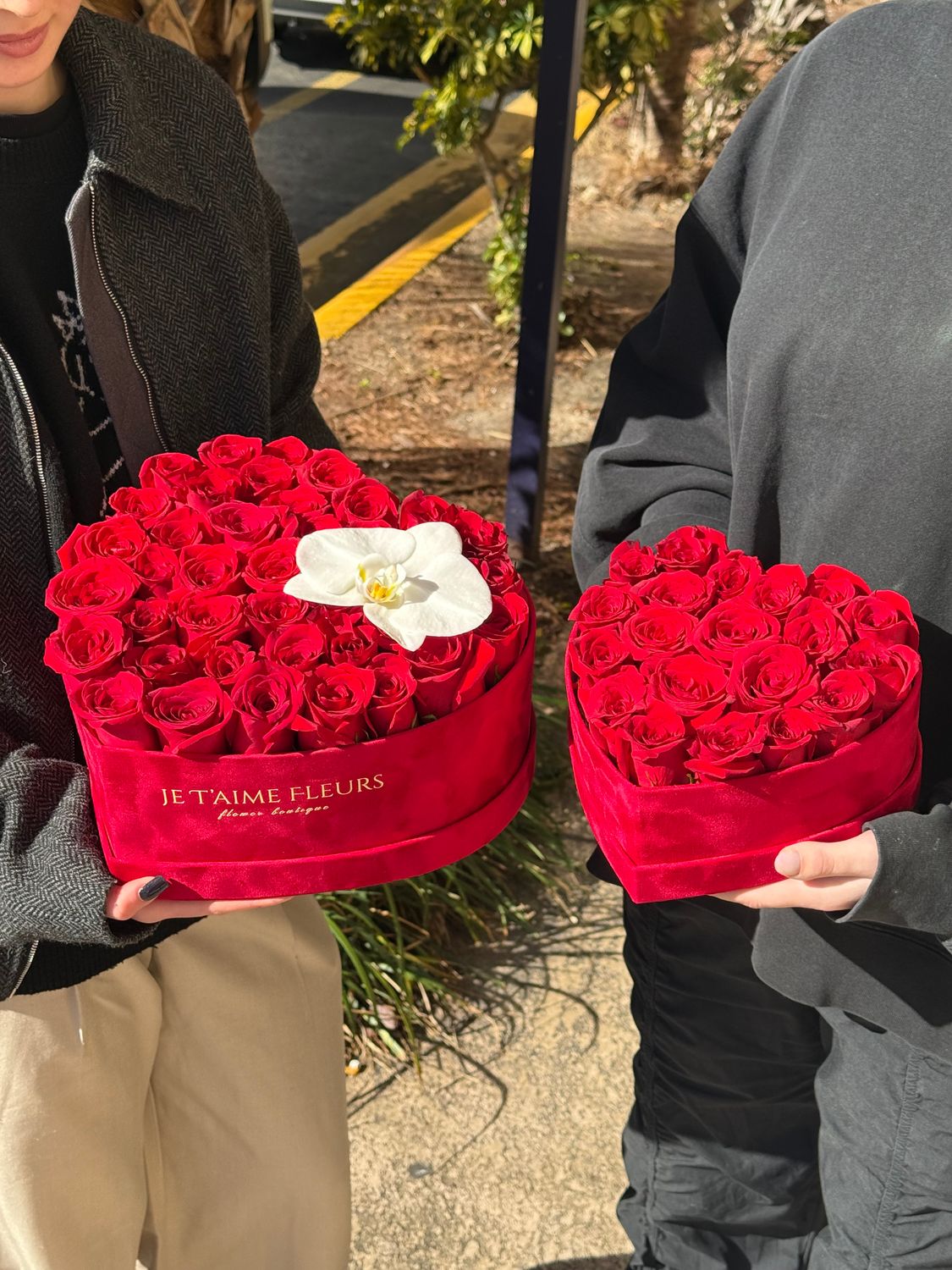 Velvet Heart Velvet Heart