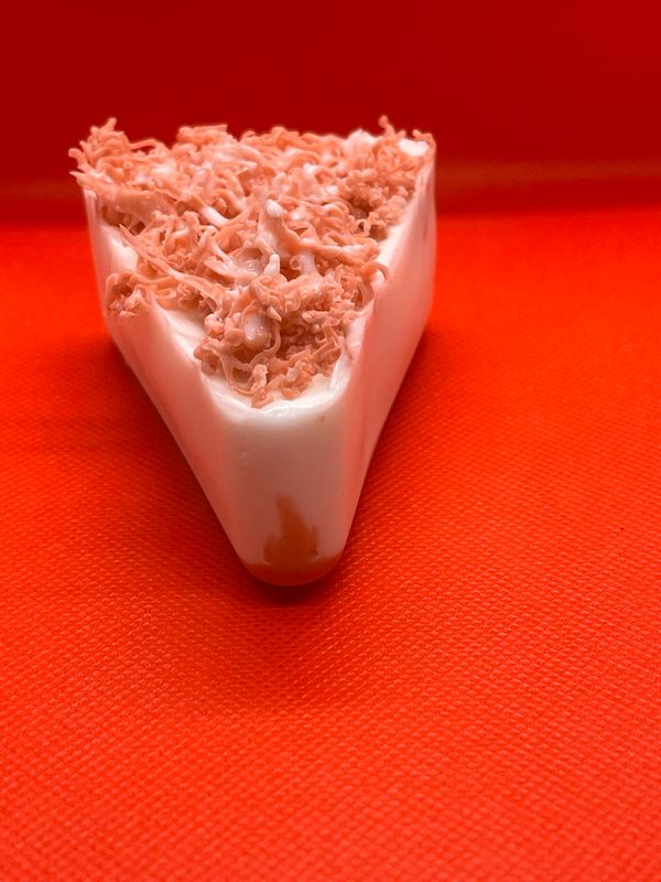 Red Velvet Cheesecake Body Wash Bar (topped with And Stuffed With Cake Pieces)