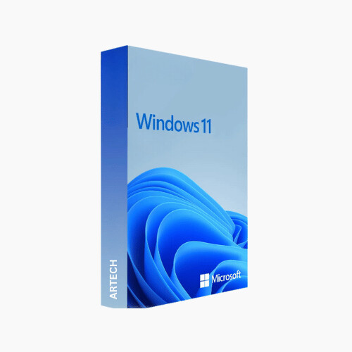 Microsoft Windows 11 Professional