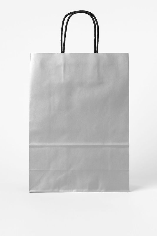 🎁 Geschenktasche Silber