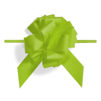 Ziehschleife Granfiocco Hellgrün Ziehschleife Granfiocco Hellgrün