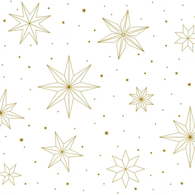 Geschenkpapier Weihnachtssterne Kraftpapier weiß Geschenkpapier Weihnachtssterne Kraftpapier weiß