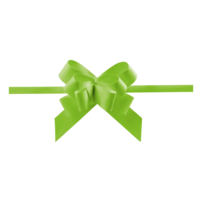 Ziehschleife Hellgrün Paper