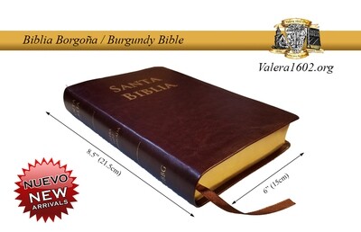 Biblia Burdeos / Burgundy Bible Biblia Burdeos / Burgundy Bible