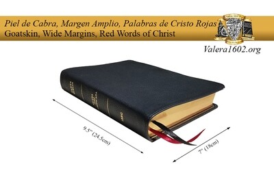 Margen Amplio (Cabra) / Wide Margin (Goatskin) Margen Amplio (Cabra) / Wide Margin (Goatskin)