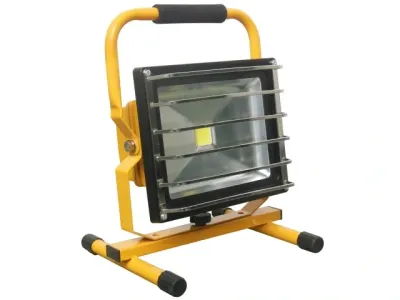 PORTABLE LED FLOOD LIGHT 30W 110V