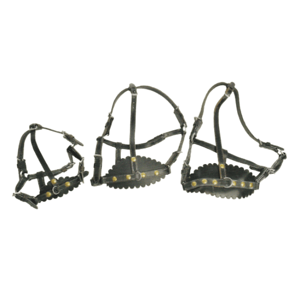 Licol doublé cuir