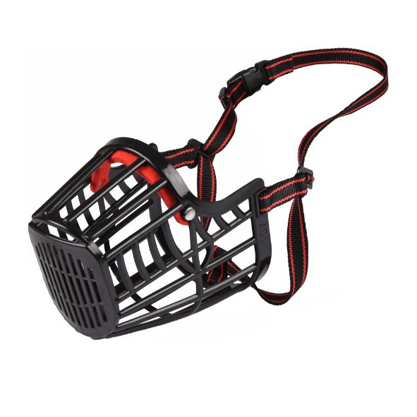 Musolière pour chien