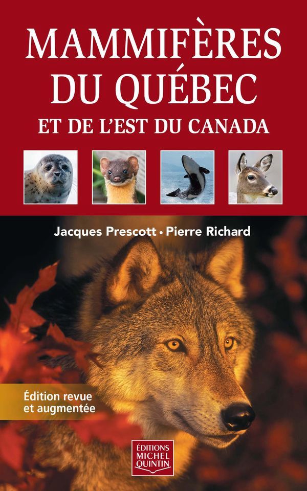 Mammifères du Québec et de l&#39;est du Canada