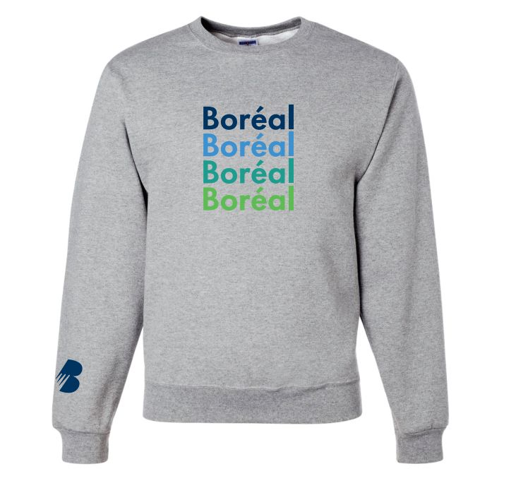 Crewneck - Retro 1, Sizes: small