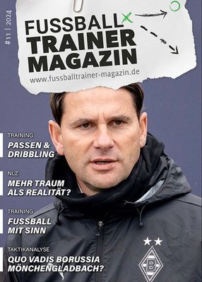 Ausgabe 11/2024