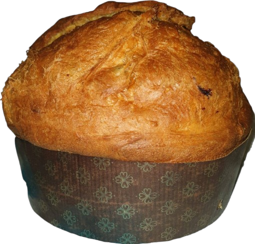 Panettone salato Scugnizzo con impasto al grana padano dop e pecorino romano, con sospensioni di salame napoletano, prosciutto cotto e provolone del monaco