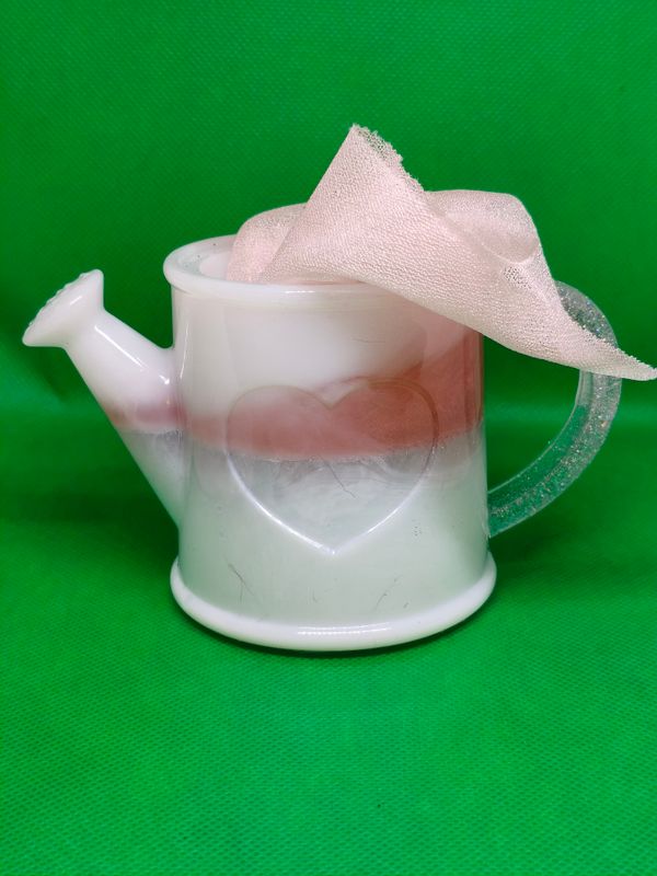 Plant Pot Watering Cans