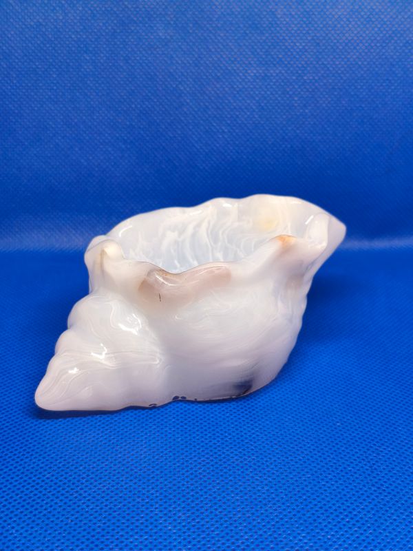 Sea Shell Trinket Pot