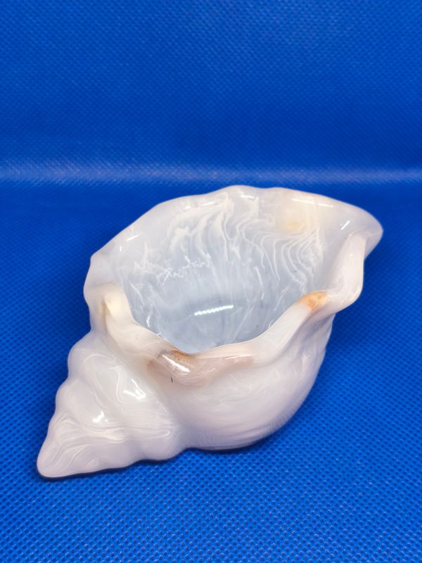 Sea Shell Trinket Pot