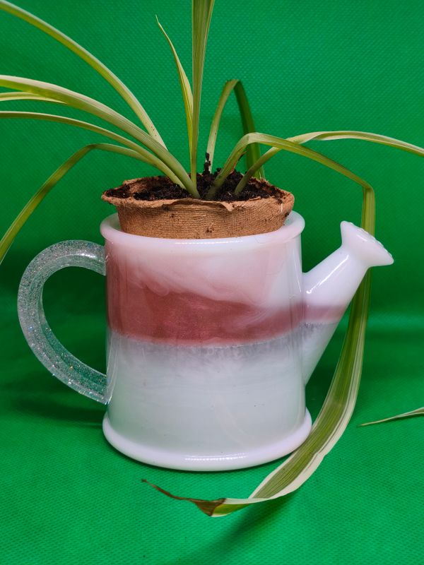 Plant Pot Watering Cans