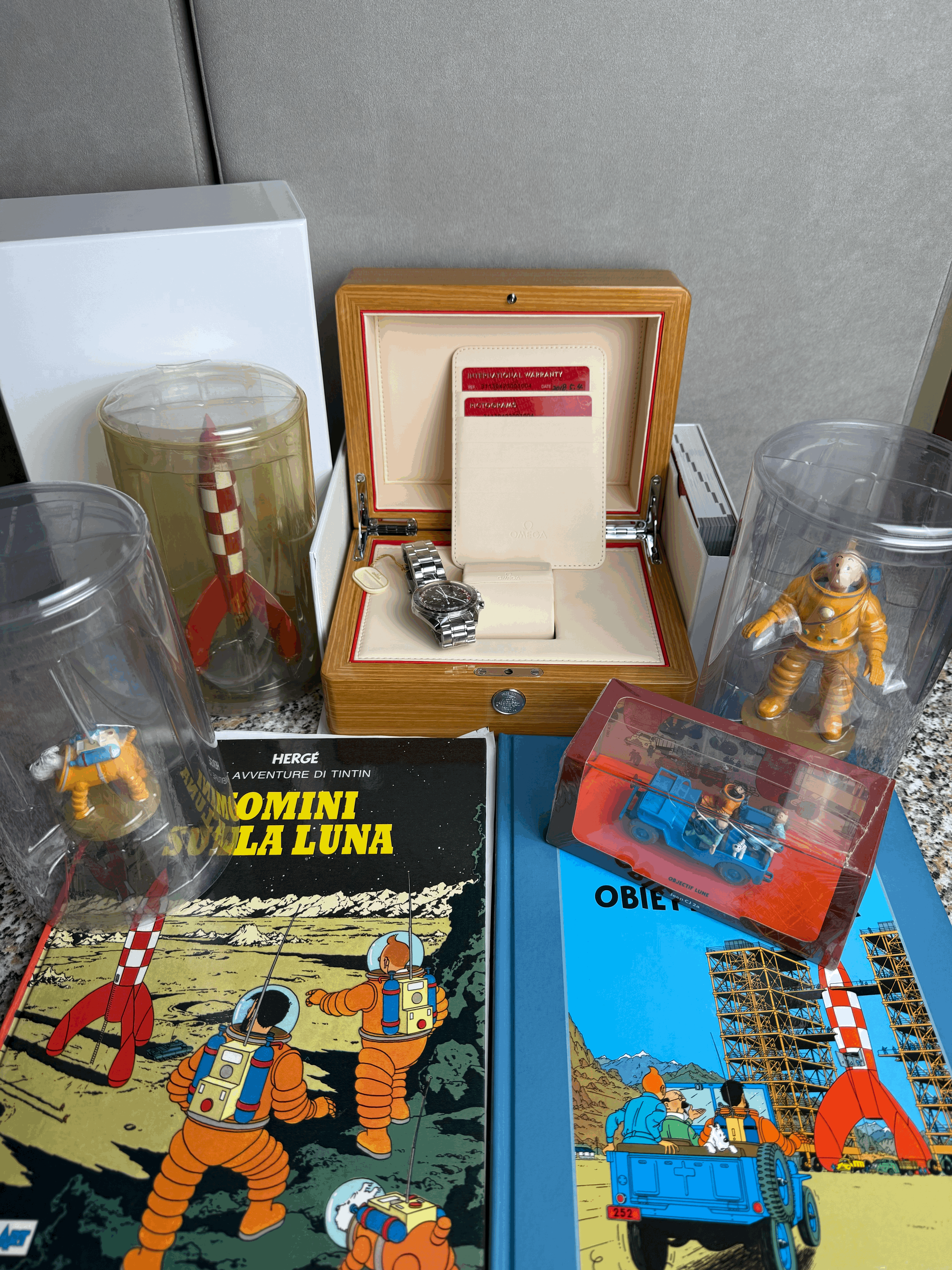 OMEGA - MOONWATCH TIN TIN