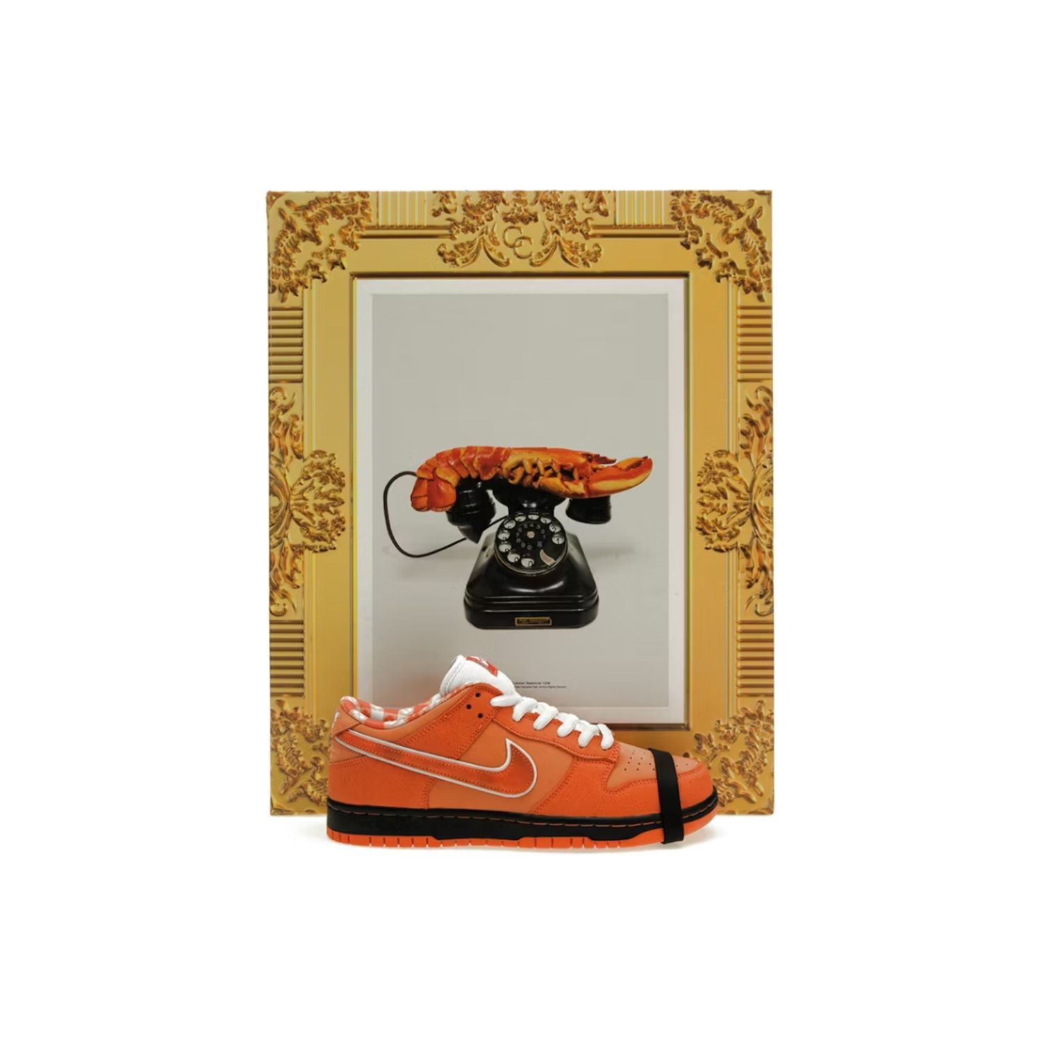 Nike SB x CNCPTS Orange Lobster (Special Box), Size: 8.5