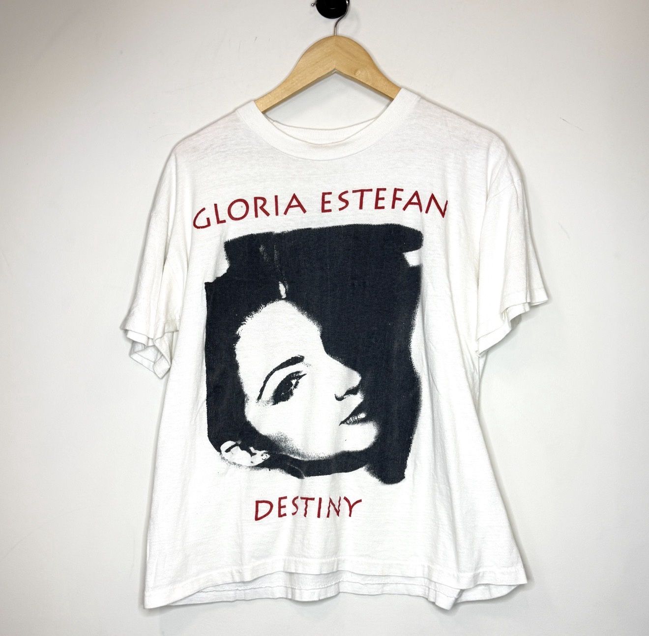 (FINAL SALE) VINTAGE Destiny Tour Tee, Size: L