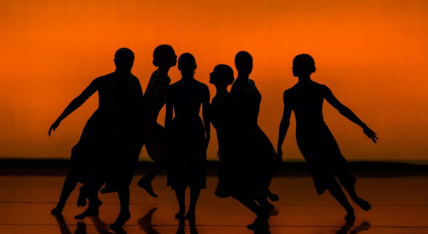 Dance Foundations 1/31