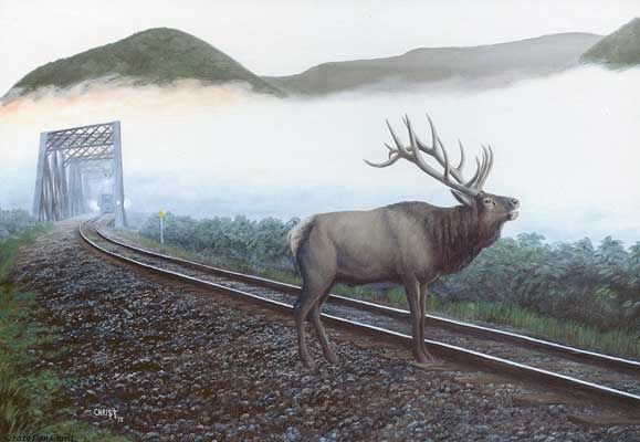 Jigsaw Puzzle - 550 Pieces, Select: Elk Tracks