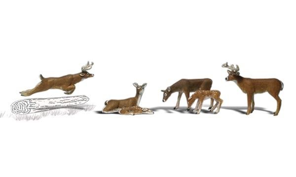 HO White-Tail Deer pkg(6)