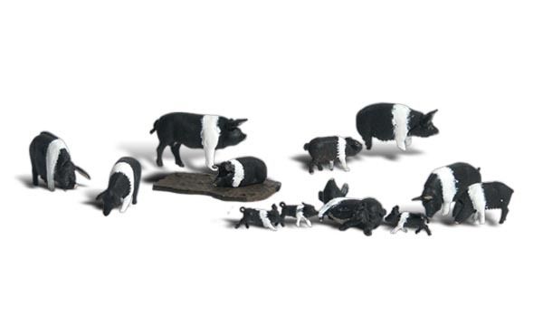 HO Hampshire Pigs