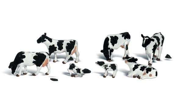 N Holstein Cows pkg(11)