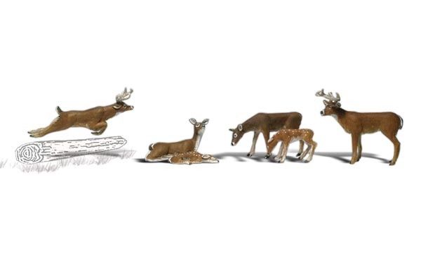 N White-Tail Deer pkg(6)