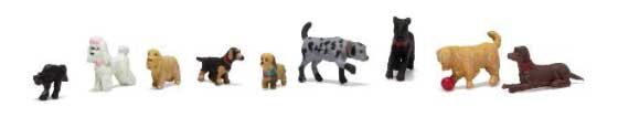HO Dogs &amp; Cat