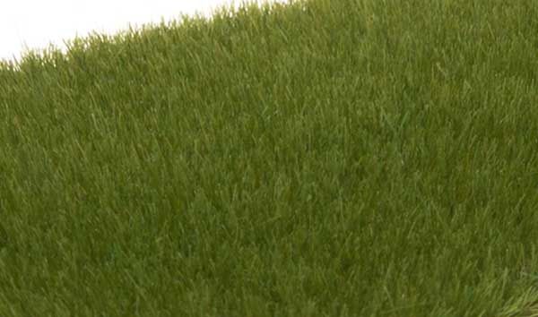 Static Grass - Field System - Dark Green, Select: 1/8&quot;  4mm Fibers