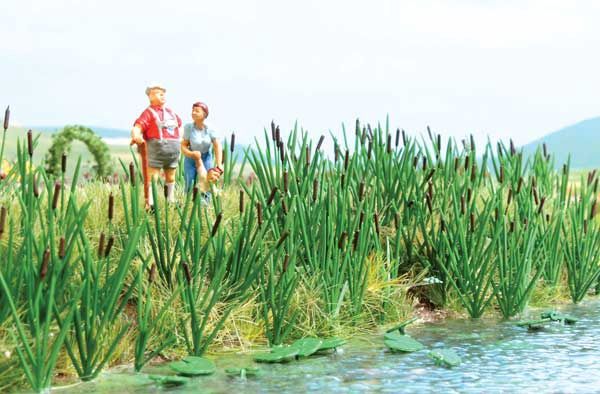 Cattails -- Kit pkg(60)