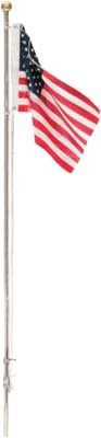 Flag Pole with U.S. Flag - Just Plug(TM), Select: Value Pack- 1 lg, 2 md, 1 sm &amp; Light Hub