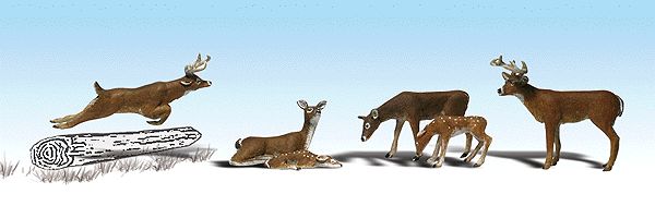 HO White-Tail Deer pkg(6)