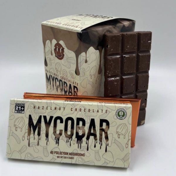Hazelnut Chocolate Psilocybin Mushrooms