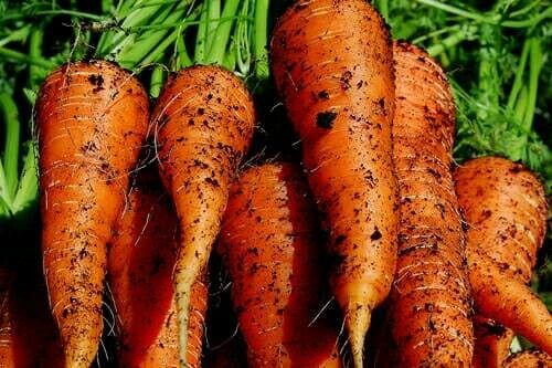 Carrots (Dirty) 1Kg
