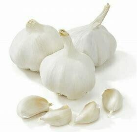 Garlic  (Spanish)