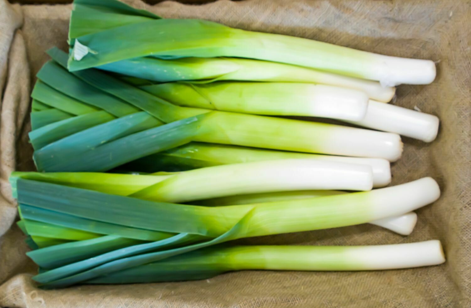 Leeks 500g