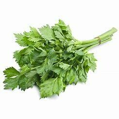Celery (Soup) Large Bunch